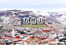 2日 | 五臺山祈福 | 佛韻五臺